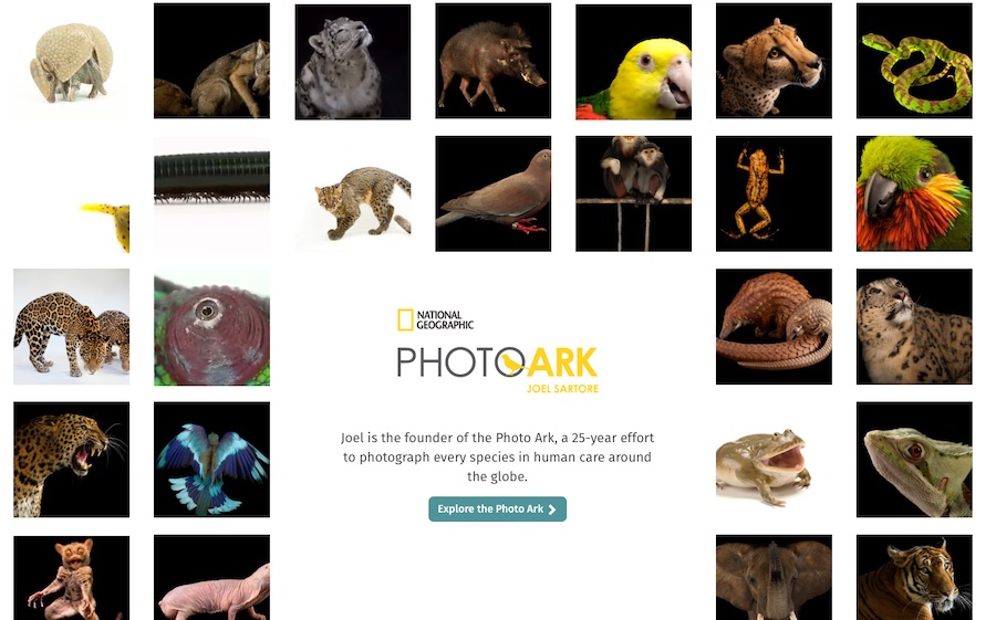 PhotoArk