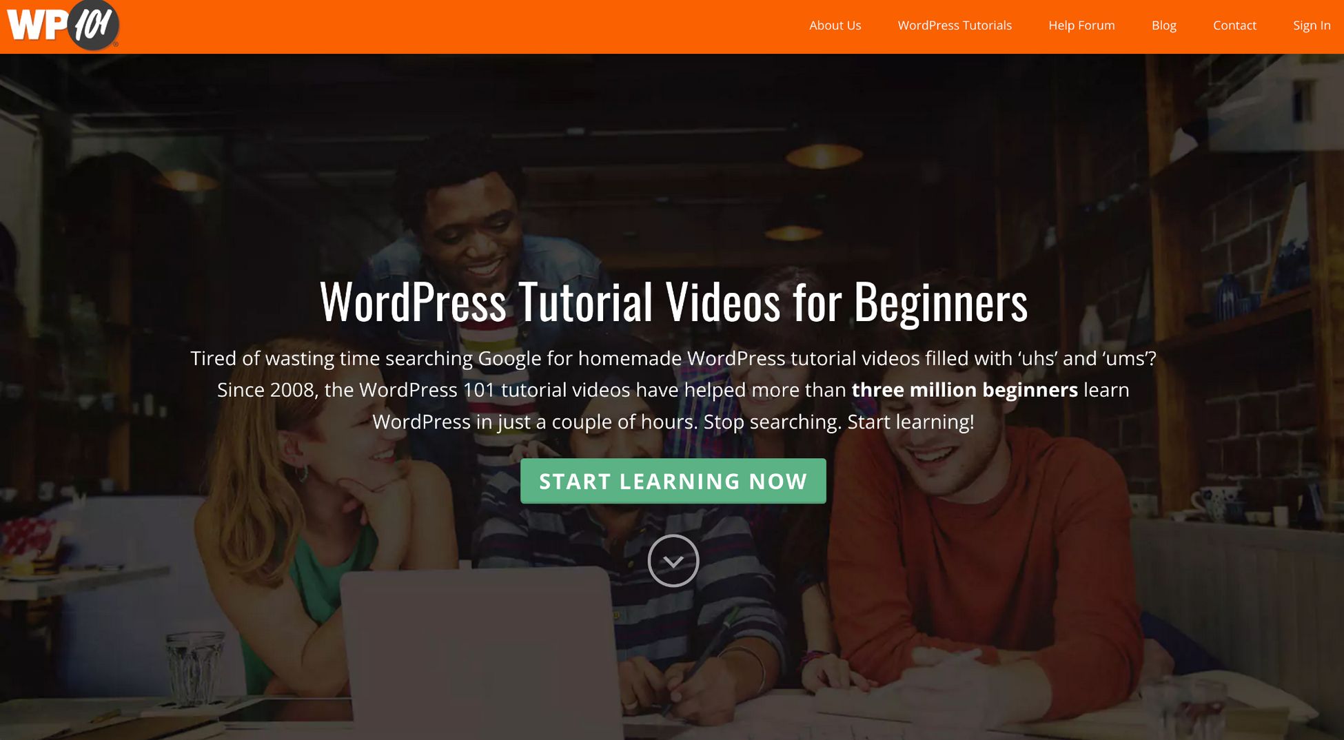 wp101 online course website